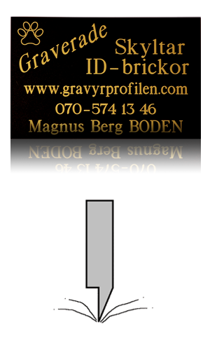 GravyrProfilenn i Norr